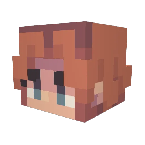 Lazytree07 Minecraft avatar head, 3D render