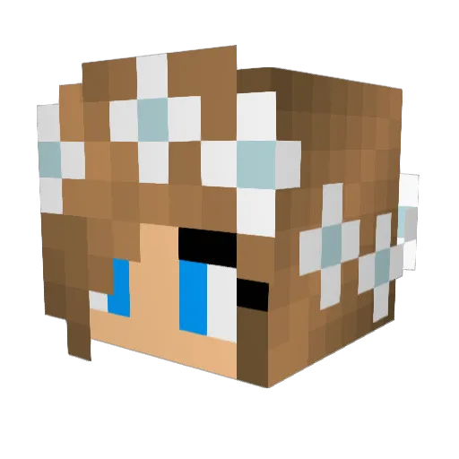 Lbel23 Minecraft avatar head, 3D render