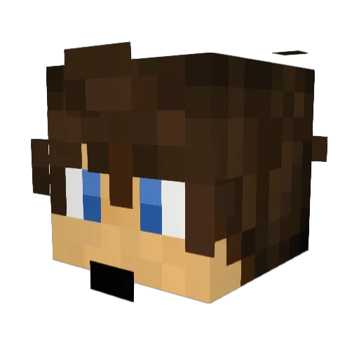 Lbn076 Minecraft avatar head, 3D render