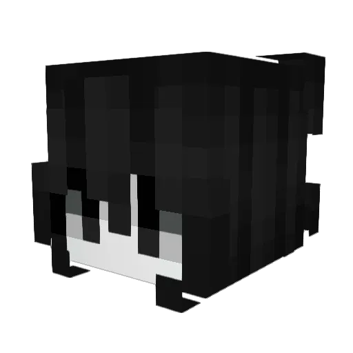 Lbs2323 Minecraft avatar head, 3D render