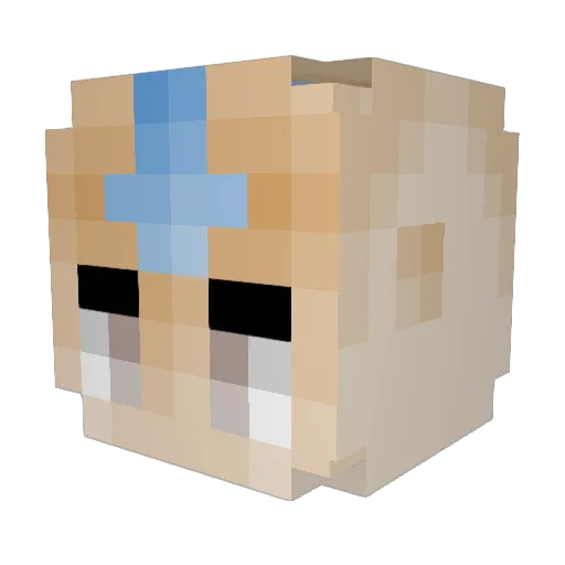 Lbush14 Minecraft avatar head, 3D render