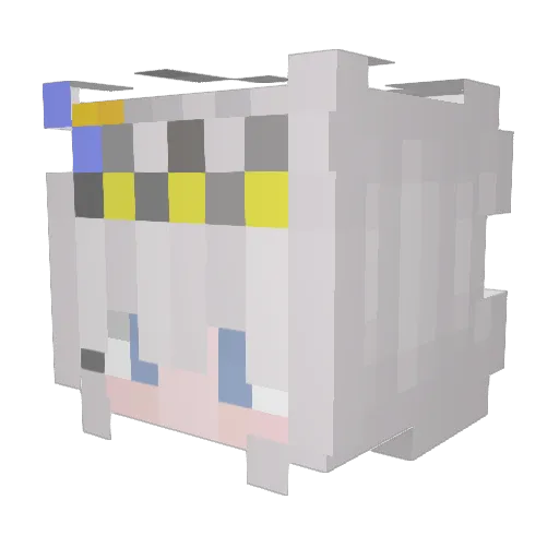 Lchicken3000 Minecraft avatar head, 3D render