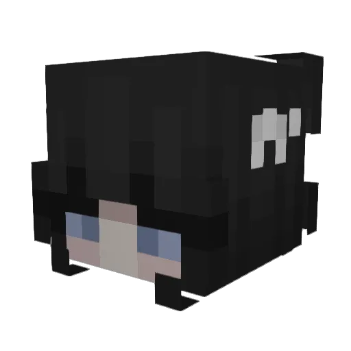 Lcla Minecraft avatar head, 3D render