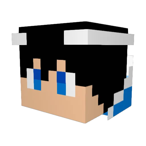 Lcocopuffs Minecraft avatar head, 3D render