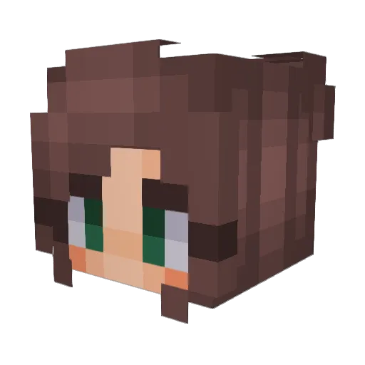 Lcshot Minecraft avatar head, 3D render