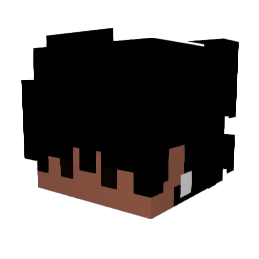 Lcxs_Daddy Minecraft avatar head, 3D render