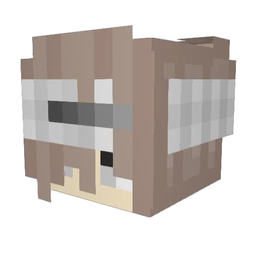 LdNote Minecraft avatar head, 3D render