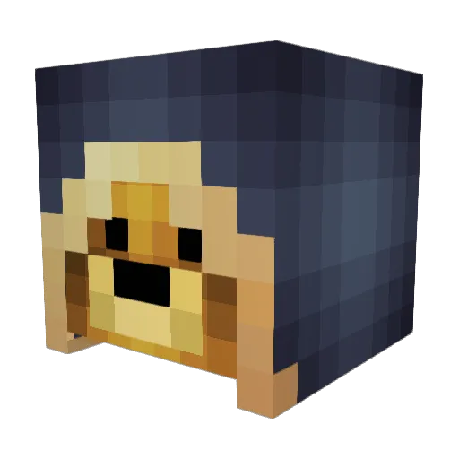 Le0nidas64 Minecraft avatar head, 3D render
