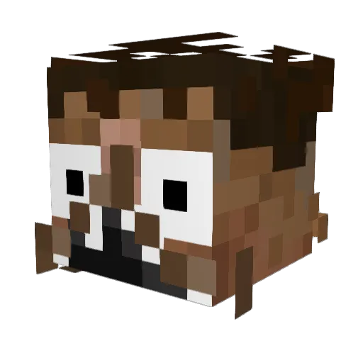 Le4fy Minecraft avatar head, 3D render