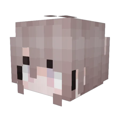 Le9_XD Minecraft avatar head, 3D render