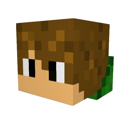 LeAP2034 Minecraft avatar head, 3D render