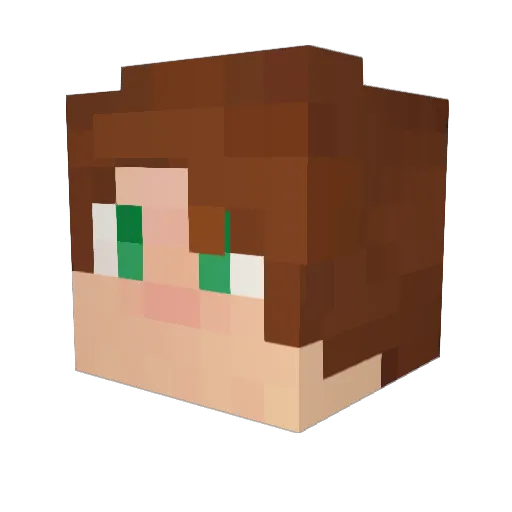 LeBoJu Minecraft avatar head, 3D render