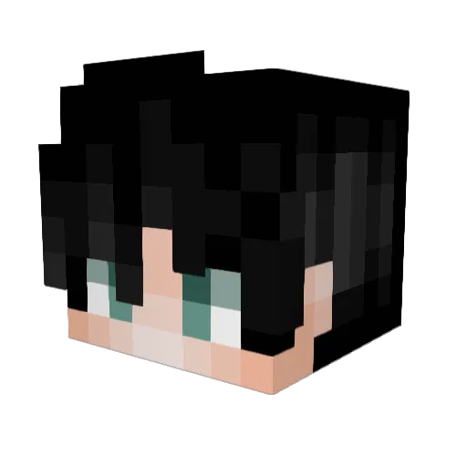 LeBonBro Minecraft avatar head, 3D render