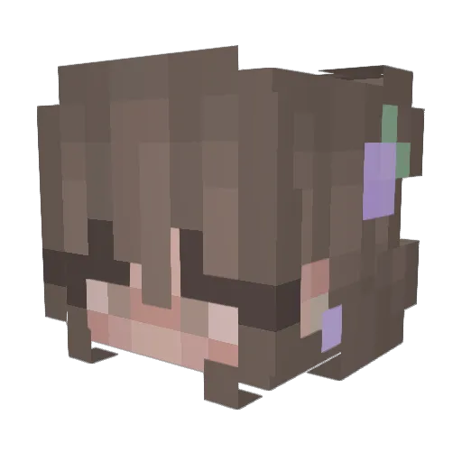 LeBronJahamed Minecraft avatar head, 3D render