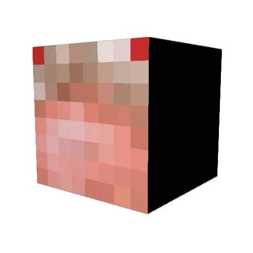 LeBronPipele Minecraft avatar head, 3D render