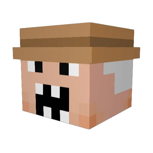 LeBron_Jimmy Minecraft avatar head, 3D render