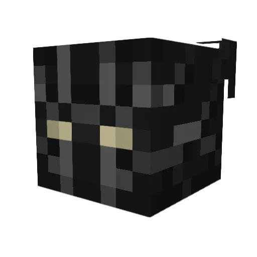 LeBronzeJames318 Minecraft avatar head, 3D render