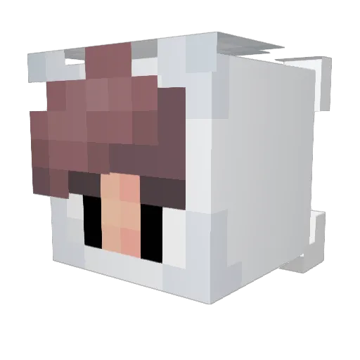 LeBugoman Minecraft avatar head, 3D render