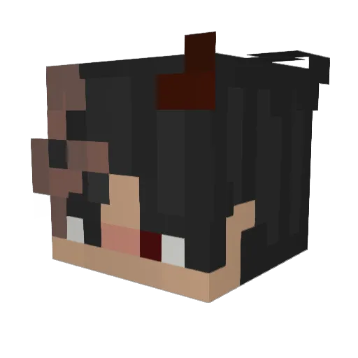 LeDanger007 Minecraft avatar head, 3D render