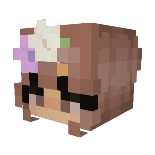 LeDeagle Minecraft avatar head, 3D render