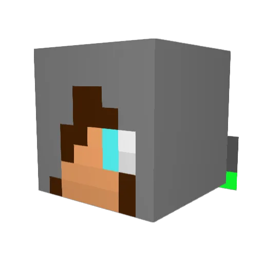 LeDerpy5 Minecraft avatar head, 3D render