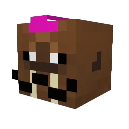 LeDidi Minecraft avatar head, 3D render