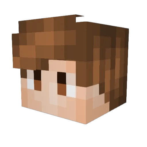 LeDollaBean123 Minecraft avatar head, 3D render