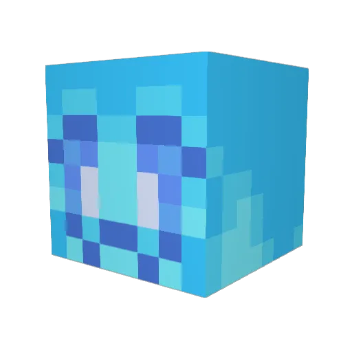 LeEr206 Minecraft avatar head, 3D render