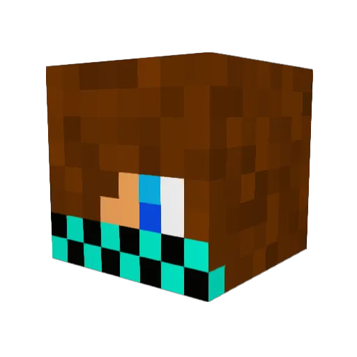 LeFouDu40 Minecraft avatar head, 3D render