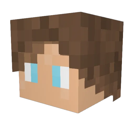 LeIggy4477 Minecraft avatar head, 3D render