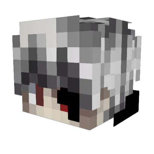 LeJoy_BW Minecraft avatar head, 3D render