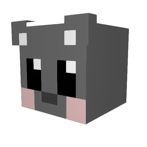 LeKiD_ Minecraft avatar head, 3D render