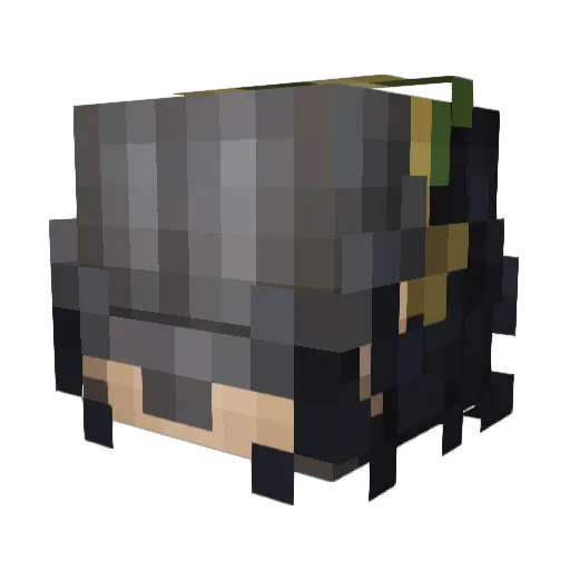 LeKinderBear Minecraft avatar head, 3D render