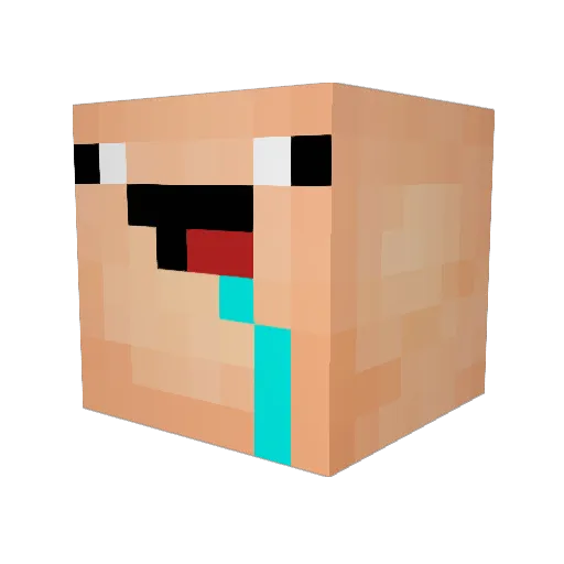 LeKing0507 Minecraft avatar head, 3D render
