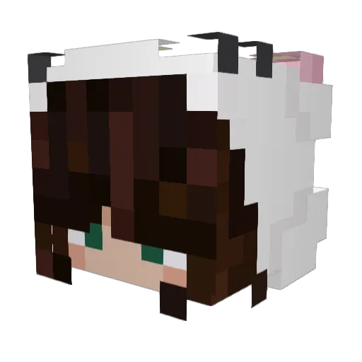 LeLaNaTeR Minecraft avatar head, 3D render