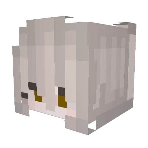 LeLean_ Minecraft avatar head, 3D render