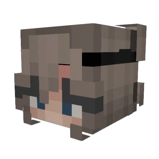LeLiLa123 Minecraft avatar head, 3D render
