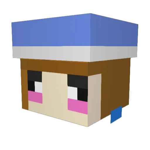 LeLutka Minecraft avatar head, 3D render