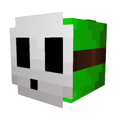 LeMaxime666 Minecraft avatar head, 3D render