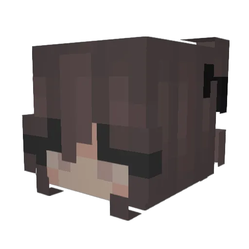 LeMesa Minecraft avatar head, 3D render