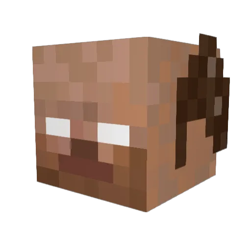 LeNoad Minecraft avatar head, 3D render