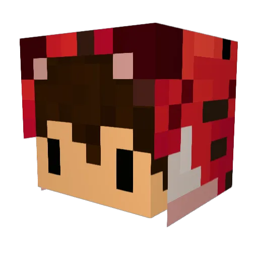 LeNoobMaster Minecraft avatar head, 3D render