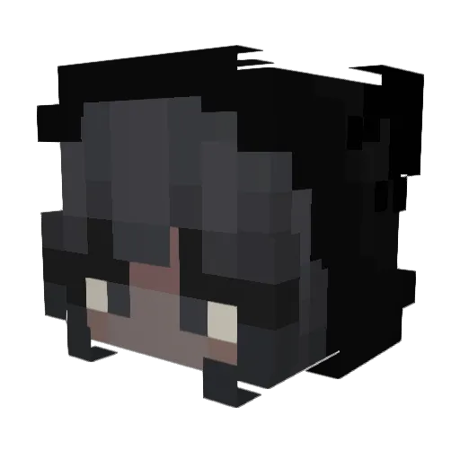LeNytrixJames_ Minecraft avatar head, 3D render