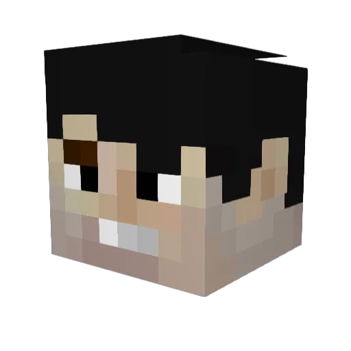 LeOnline7 Minecraft avatar head, 3D render