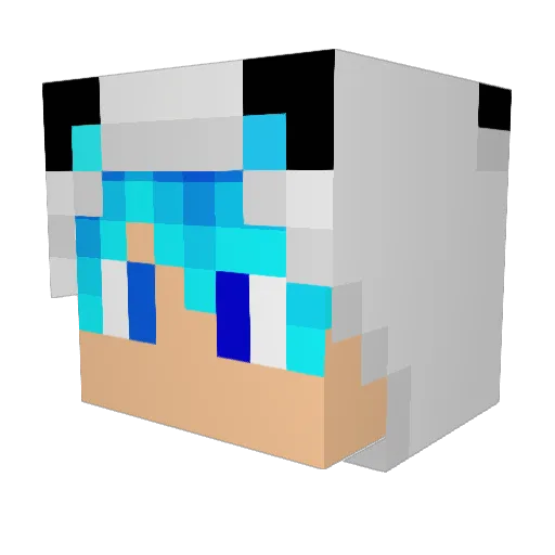 LePetitPandaBleu Minecraft avatar head, 3D render