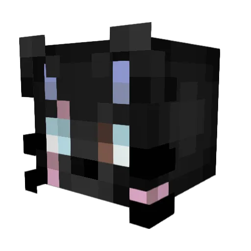 LePigeonDSL Minecraft avatar head, 3D render