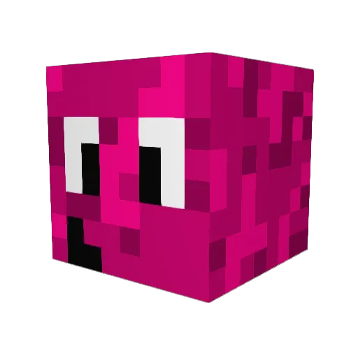 LePirateDuBat5 Minecraft avatar head, 3D render