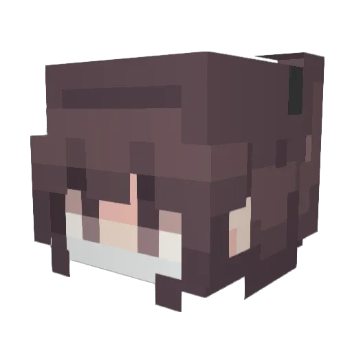 LeRondDAlembert Minecraft avatar head, 3D render