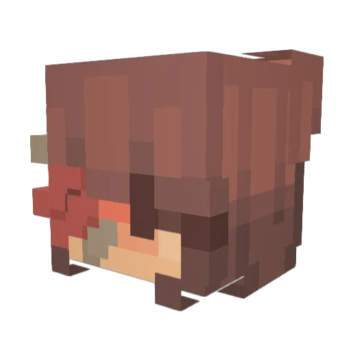 LeRosie Minecraft avatar head, 3D render