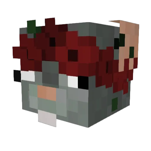 LeSaumonCru Minecraft avatar head, 3D render